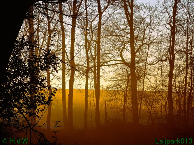 13 januari Mist en zon