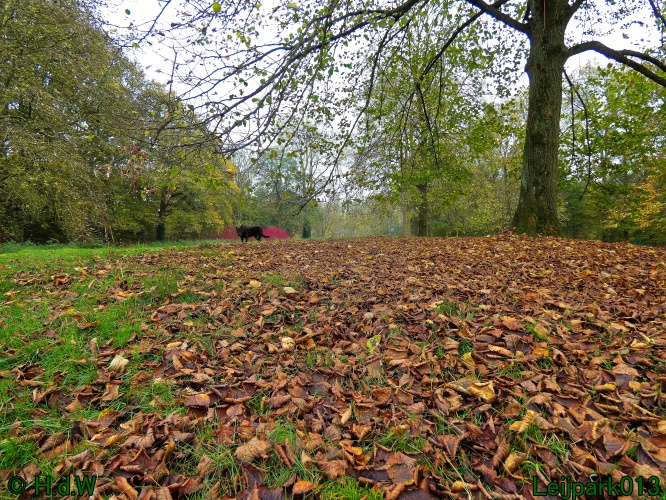 10 &amp; 11 &amp; 12 &amp; 13 november 2024