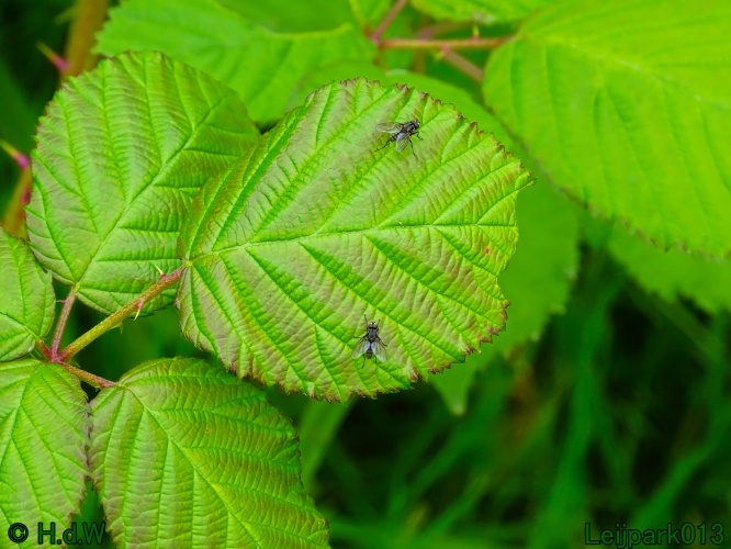 11 &amp; 12 &amp; 13 &amp; 14 juni 2024