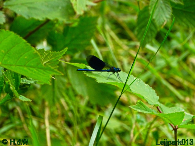 9 &amp; 10 &amp; 11 &amp; 12 juli 2024