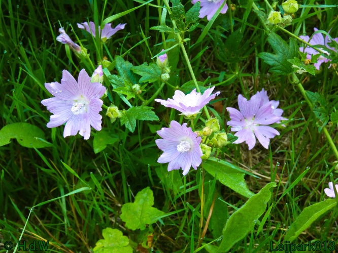 22 &amp; 23 &amp; 24 &amp; 25 augustus 2024