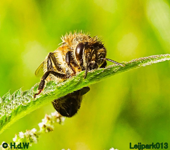 27 &amp; 28 &amp; 29 &amp; 30 juni 2024