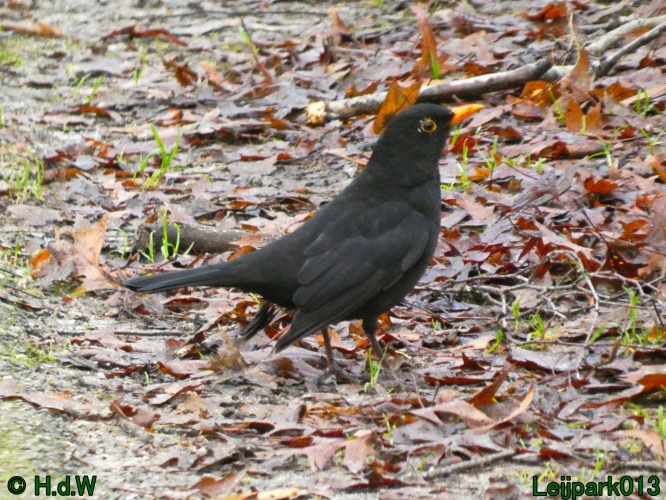 1 &amp; 2 &amp; 3 &amp; 4 januari 2025