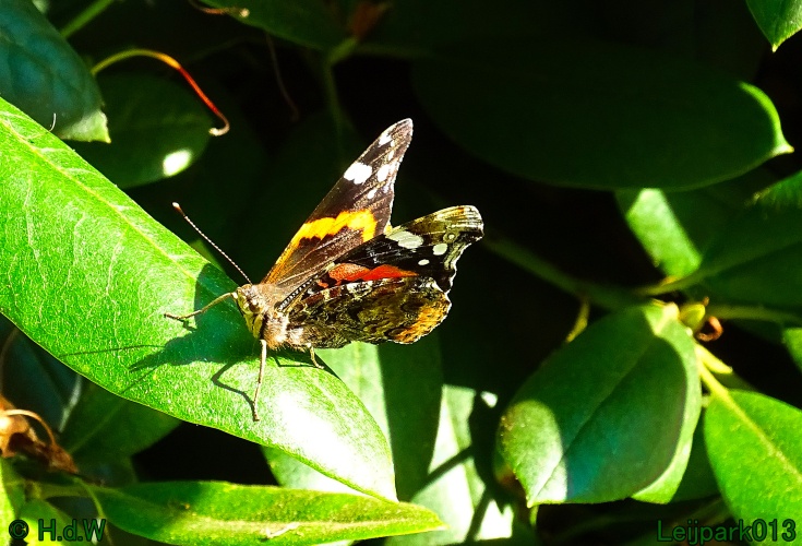 27 &amp; 28 &amp; 29 &amp; 30 juni 2024