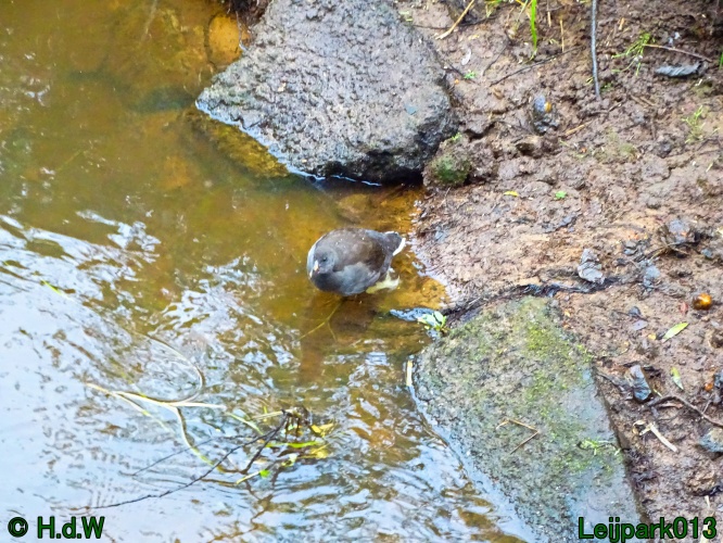 5 &amp; 6 &amp; 7 &amp; 8 juli 2024