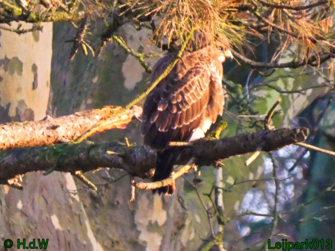 9 &amp; 10 &amp; 11 &amp; 12 januari 2025