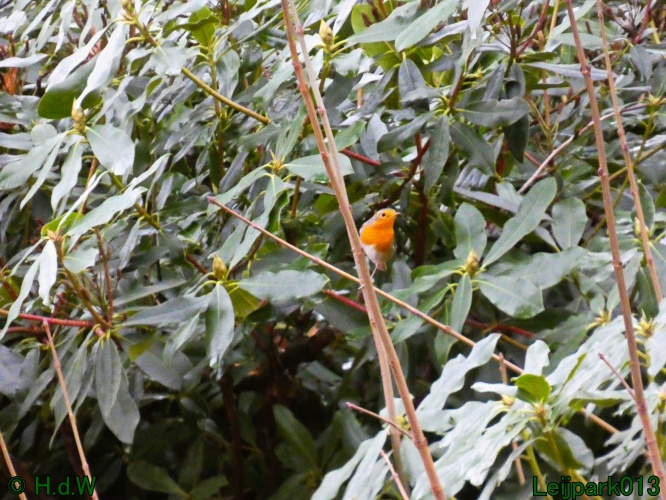 16 &amp; 17 &amp; 18 &amp; 19 december 2024