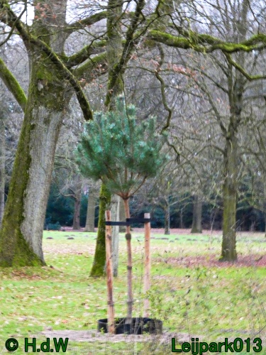 20 &amp; 21 &amp; 22 &amp; 23 december 2024