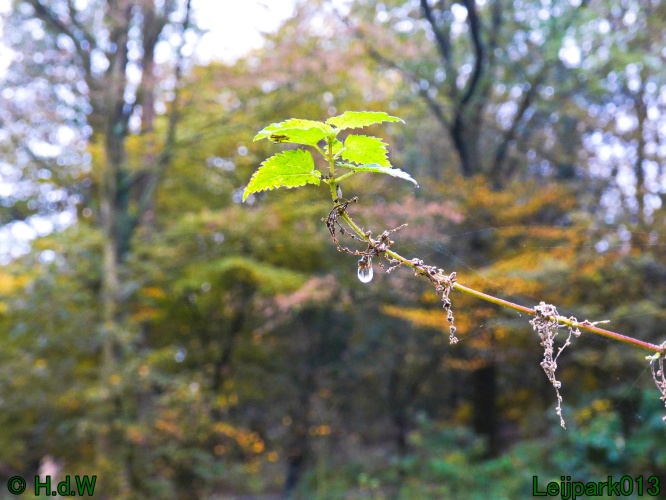 2 &amp; 3 &amp; 4 &amp; 5 November 2024