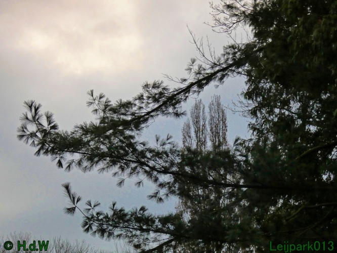 20 &amp; 21 &amp; 22 &amp; 23 december 2024