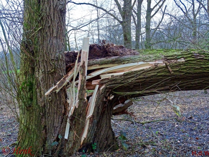 Storm terug in de tijd