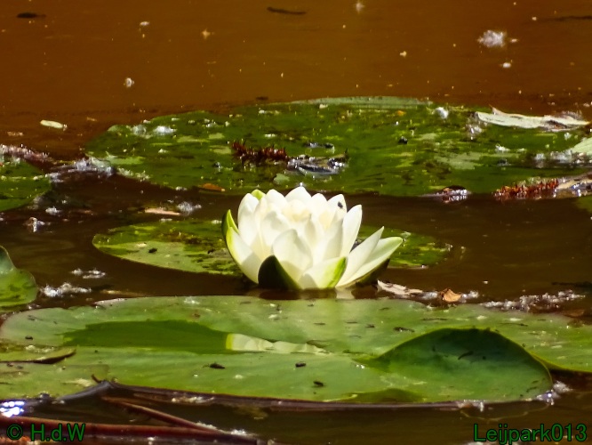 11 &amp; 12 &amp; 13 &amp; 14 juni 2024