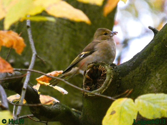 22 &amp; 23 &amp; 24 &amp; 25 november 2024