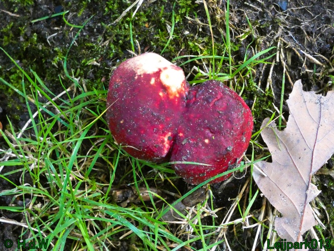 21 &amp; 22 &amp; 23 &amp; 24 oktober 2024