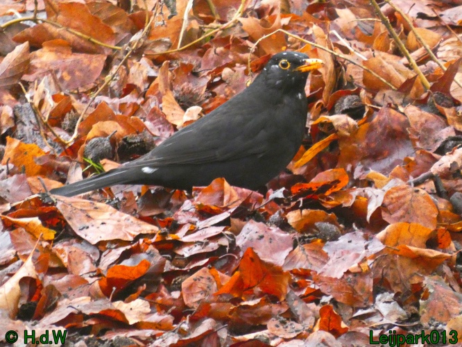 21 &amp; 22 &amp; 23 &amp; 24 januari 2025