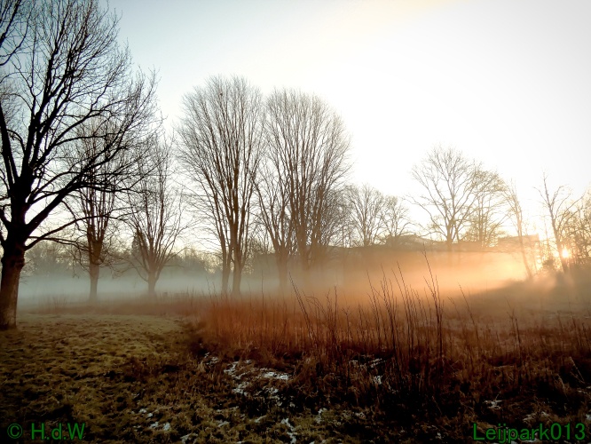 13 januari Mist en zon