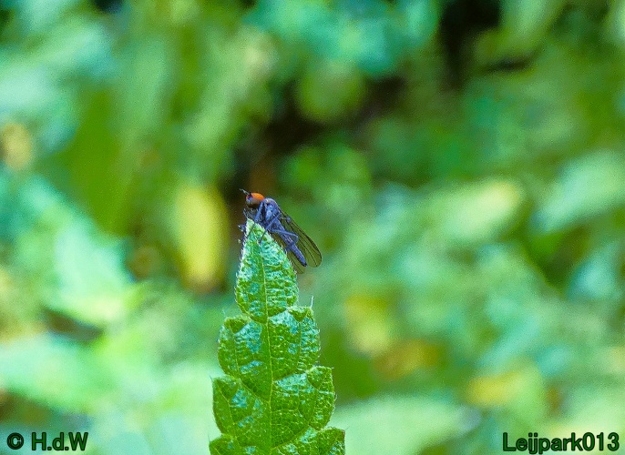 22 &amp; 23 &amp; 24 &amp; 25 augustus 2024