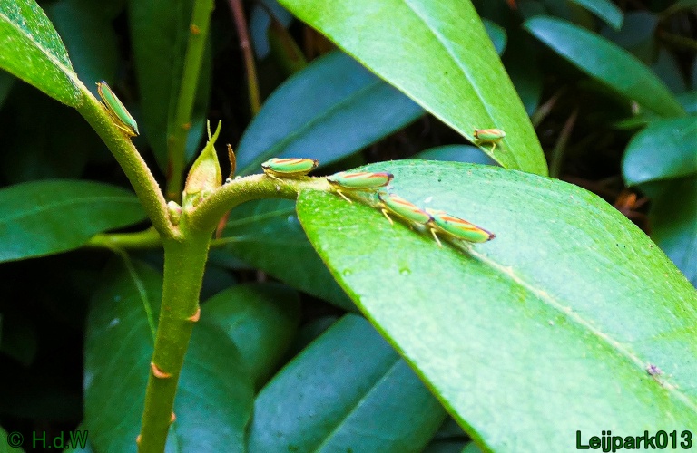 22 &amp; 23 &amp; 24 &amp; 25 augustus 2024