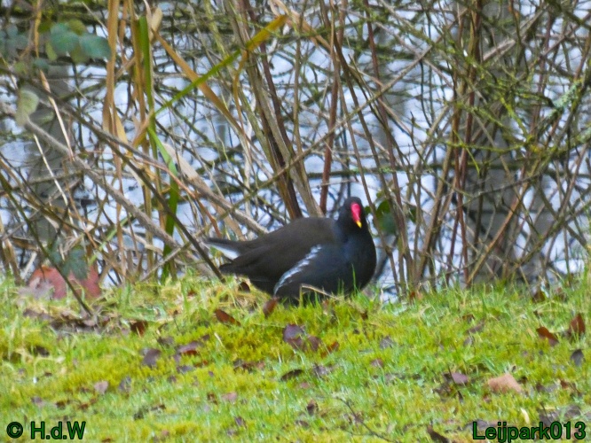 21 &amp; 22 &amp; 23 &amp; 24 januari 2025