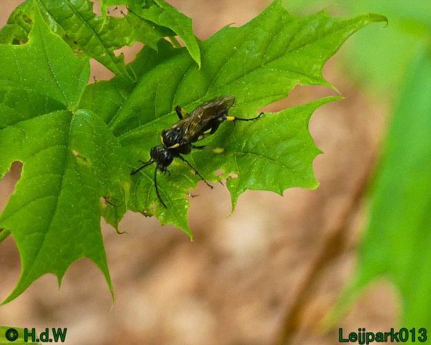 19 &amp; 20 &amp; 21 &amp; 22 maart 2025