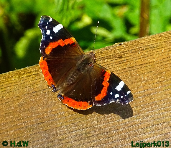 5 &amp; 6 &amp; 7 &amp; 8 juli 2024