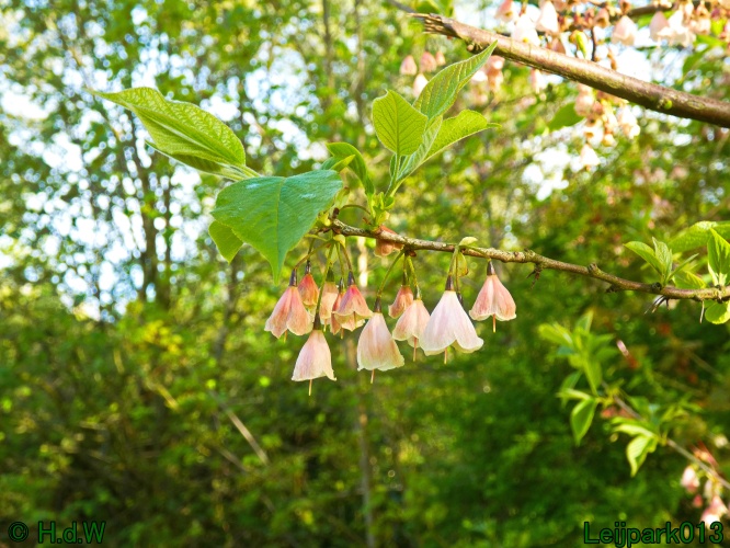 19 &amp; 20 &amp; 21 &amp; 22 maart 2025