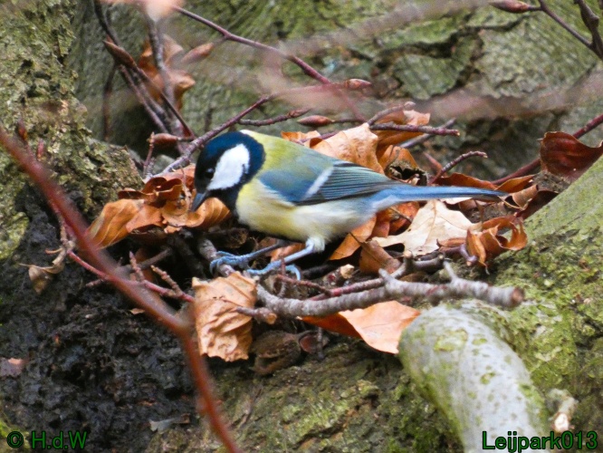 16 &amp; 17 &amp; 18 &amp; 19 december 2024