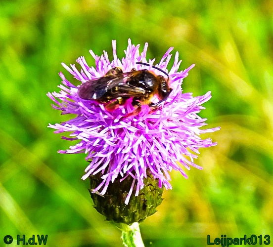 9 &amp; 10 &amp; 11 &amp; 12 juli 2024