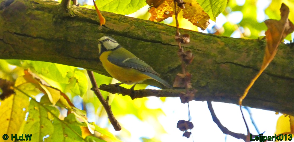 2 &amp; 3 &amp; 4 &amp; 5 November 2024