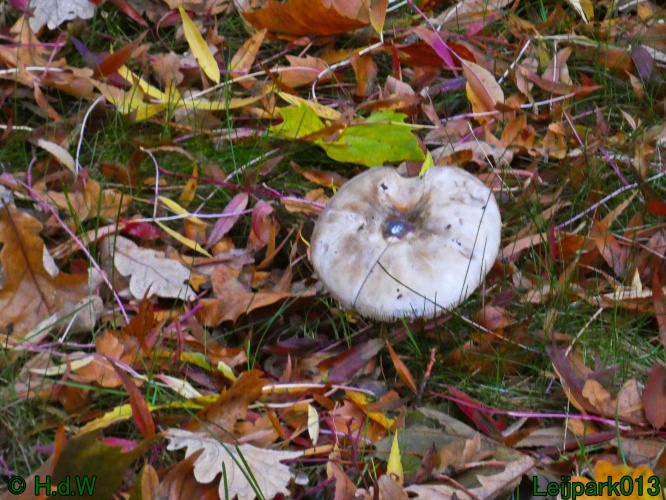 28 &amp; 29 &amp; 30 &amp; 31 oktober 2025