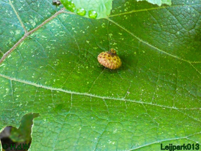 10 &amp; 11 &amp; 12 &amp; 13 augustus 2024