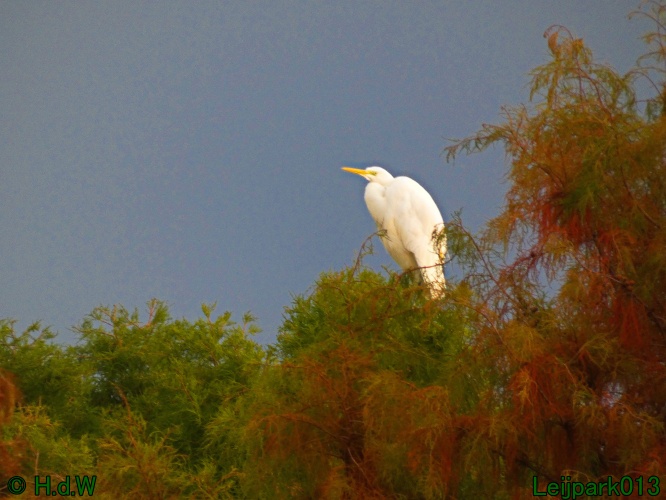 30 november &amp; 1 &amp; 2 &amp; 3 december 2024