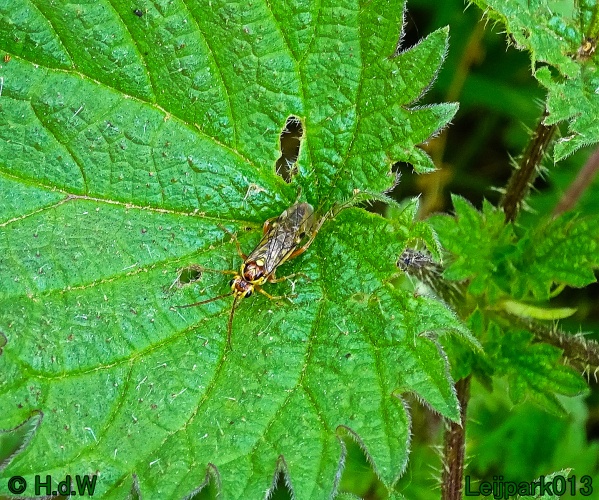 30 april 1 &amp; 2 &amp; 3 mei 2024