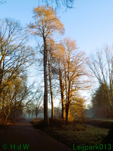 13 januari Mist en zon
