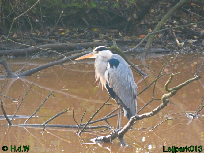 18 &amp; 19 &amp; 20 &amp; 21 november 2024