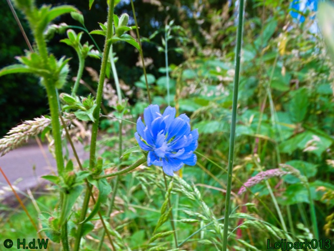 9 &amp; 10 &amp; 11 &amp; 12 juli 2024