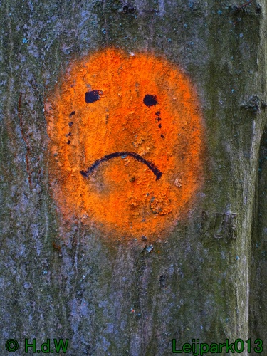 28 &amp; 29 &amp; 30 &amp; 31 oktober 2025