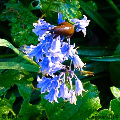 30 april 1 &amp; 2 &amp; 3 mei 2024