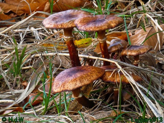 1 &amp; 2 &amp; 3 &amp; 4 oktober 2025