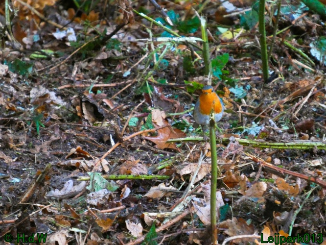 28 &amp; 29 &amp; 30 &amp; 31 oktober 2025