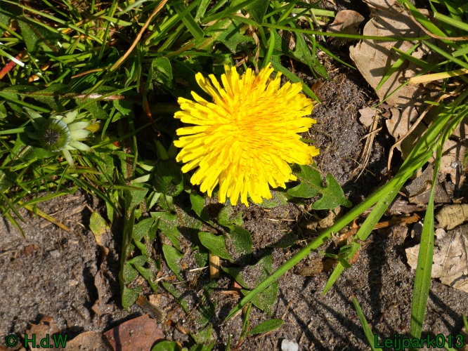 3 &amp; 4 &amp; 5 &amp; 6 april 2025