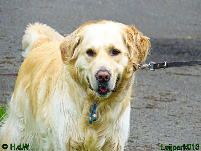 Beestenboel 7 juni 2024