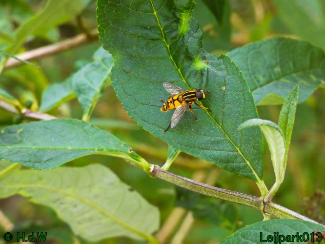 10 &amp; 11 &amp; 12 &amp; 13 augustus 2024