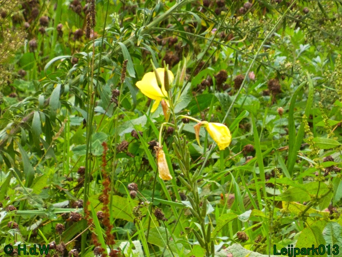 21 &amp; 22 &amp; 23 &amp; 24 oktober 2024