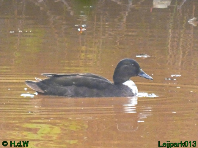 30 november &amp; 1 &amp; 2 &amp; 3 december 2024