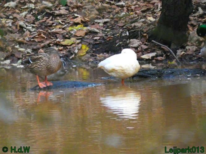 10 &amp; 11 &amp; 12 &amp; 13 november 2024