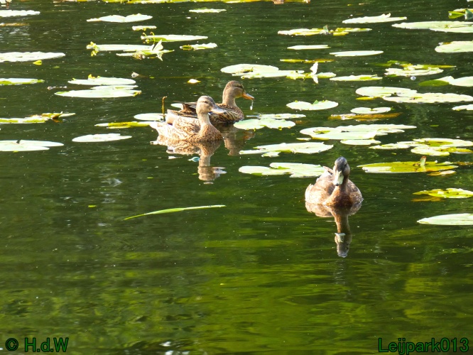 10 &amp; 11 &amp; 12 &amp; 13 augustus 2024