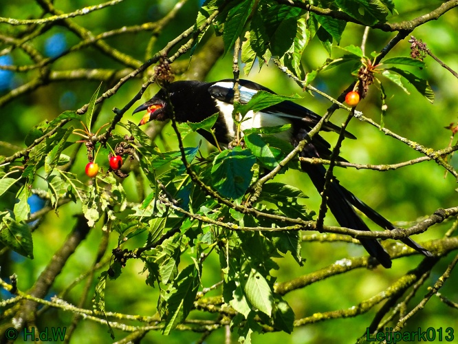 11 &amp; 12 &amp; 13 &amp; 14 juni 2024