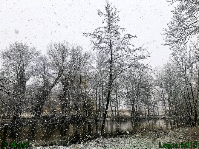 9 &amp; 10 &amp; 11 &amp; 12 januari 2025