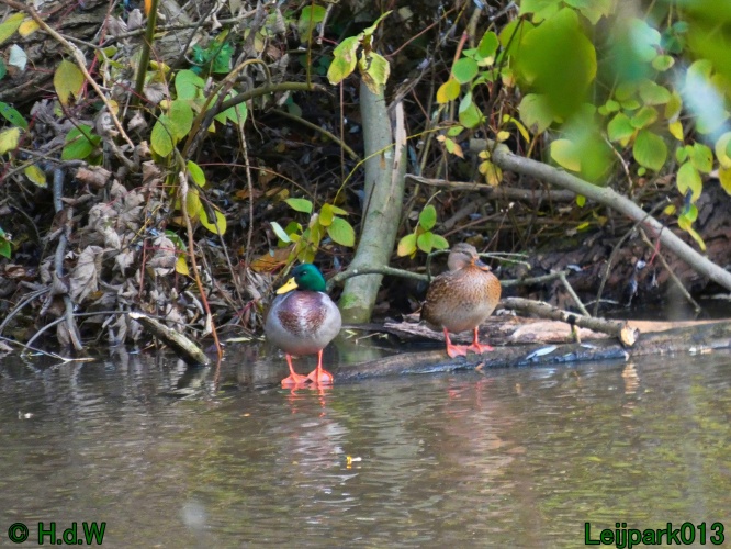 1 &amp; 2 &amp; 3 &amp; 4 oktober 2025